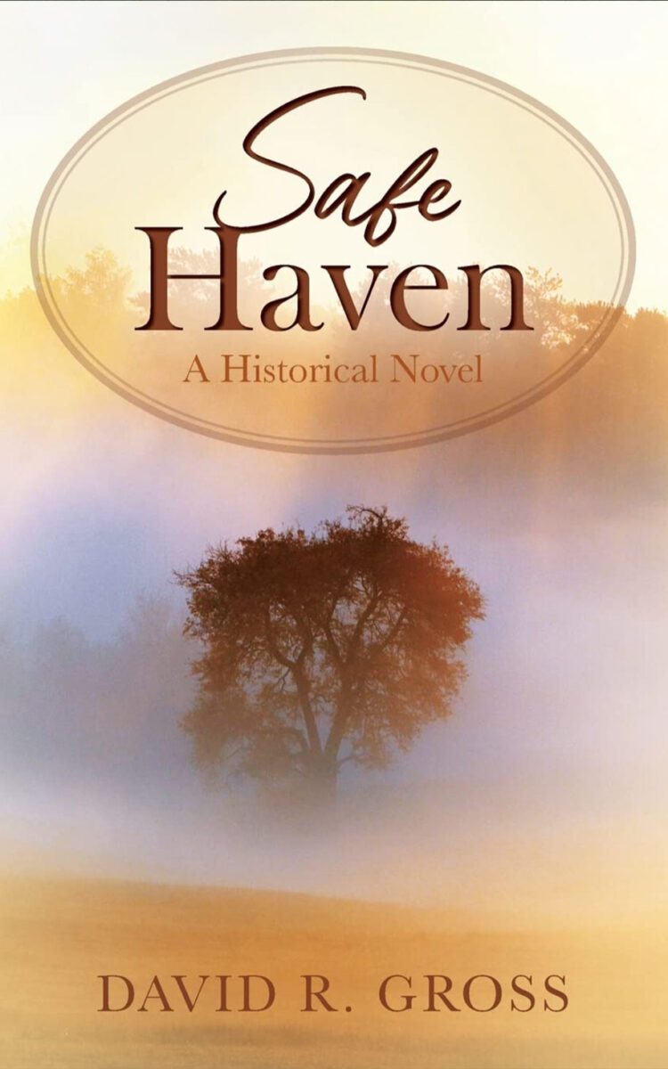 save-haven-by-david-gross